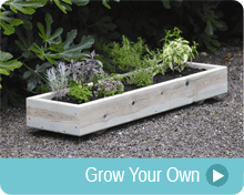 Grow your own