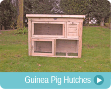Guinea Pig Hutches