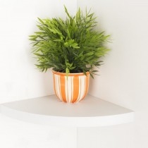 Shelving