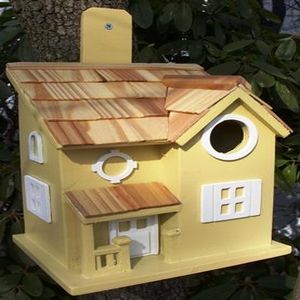 Gifts for Bird Lovers Gifts for Bird Lovers