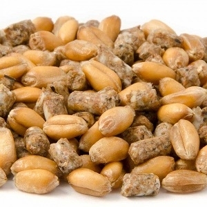 Duck, Chicken ,Swan and Waterfowl Food Duck, Chicken ,Swan and Waterfowl Food