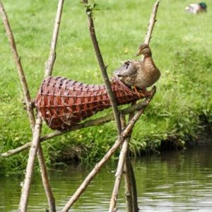 Duck Nesting Baskets Duck Nesting Baskets