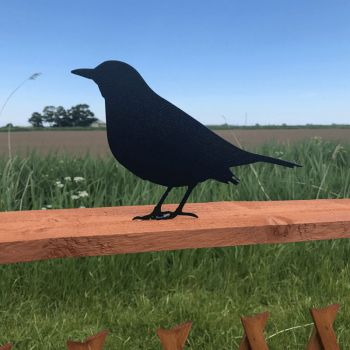 Blackbird Fence Topper