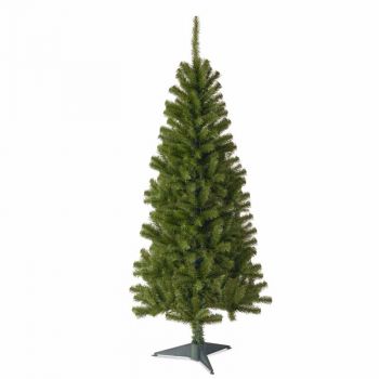 Canadian Fir Grande 5ft Tree - Wrapped