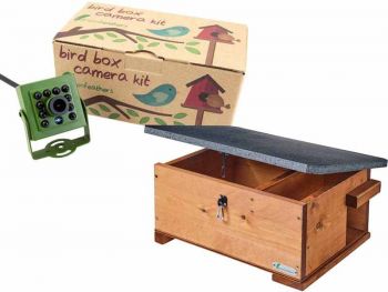 Green Feathers Hedgehog House HD Wired Camera Kit