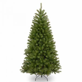 North Valley Spruce 4ft Tree