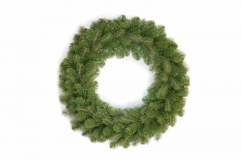 Bayberry Spruce 24" Wreath