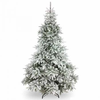 Frosted Andorra Fir 6ft Tree