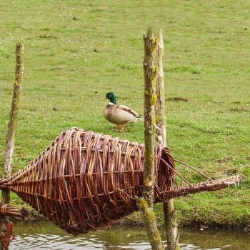 Wild Duck Nesting Basket - Round - Duck House for Roosting and Nesting Ducks
