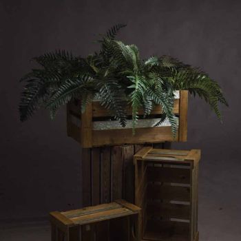 Fern Bunch Artificial Plant - Fabric/Plastic - L80 x W57 x H60 cm - Green