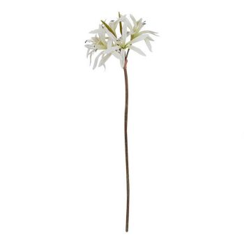 The Natural Garden Collection Nerine Lily (Single Stem Flower) - Plastic - Height 61 cm - White