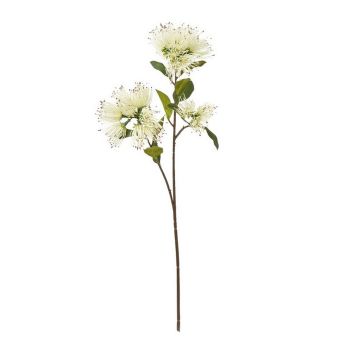 Protea Nitida Spray (Single Stem Flower) - Plastic - Height 65 cm - Cream