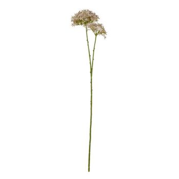 Crown Hydrangea (Single Stem Flower) - Plastic - L16 x W18 x H71 cm - Lilac