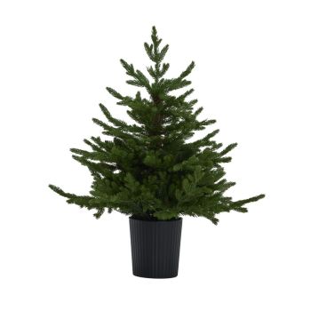 Green Forest Fir Pre-Lit Led 300L Christmas Tree in Pot - Plastic - L83 x W83 x H90 cm - Green
