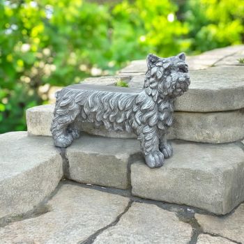 75cm Dog-Style Bench - MGO - L75 x W24 x H54 cm