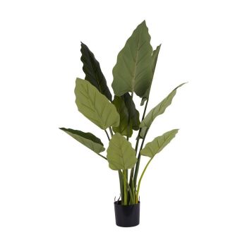 Faux Giant Tora Plant 3.3ft - Polyethylene Plastic - L75 x W85 x H100 cm - Green