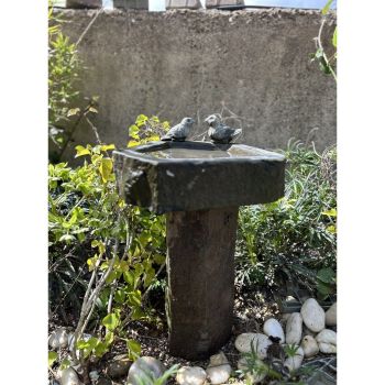 Moray Basalt Bird Bath - 59cm H with 2 Birds - L35 x W40 x H52 cm