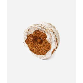 CoirCoins - Pack of 50 - Coco Peat Mix - L25 x W25 cm