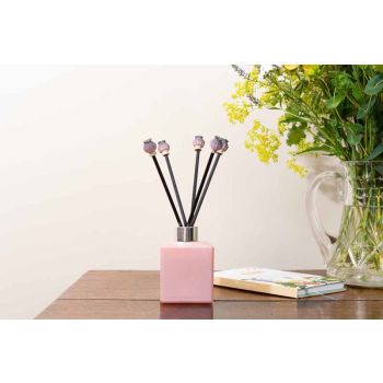 Diffuser Decor - Poppy Seed Heads Range - L10 x W10 x H2 cm