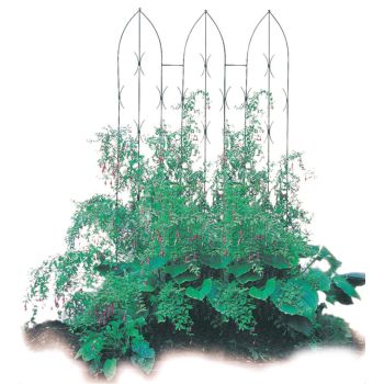 Triple Gothic Screen - Decorative Garden Screen, Plant Support - Solid Steel - W58 x H180 cm - Powder Coated Black