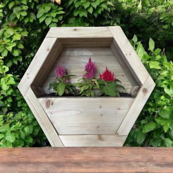 Small Hanging Wooden Hexagon Wall Planter (Painted Planter - Choice of Colours Available) - L16 x W34 x H30 cm - Fully Assembled