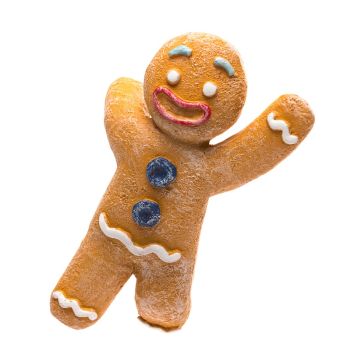 Full Colour Gingerbread Man Pot Buddy - L11 x W6.5 x H3 cm