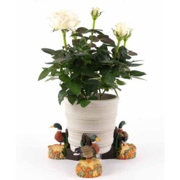 Coloured Mallard Duck Plant Pot Feet - Set of 3