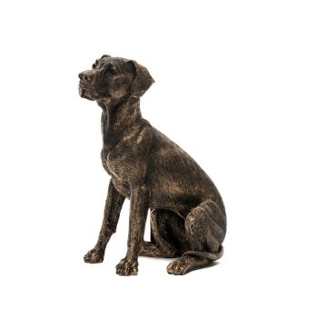 Great Dane Plant Pot Feet - Set of 3 - L6.5 x W11 x H7 cm