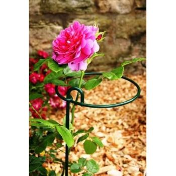 Medium Bunch Support Rust (Pack of 4) - Steel - L23 x W23 x H86 cm - Bare Metal/Ready to Rust