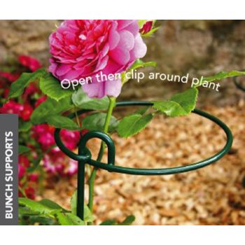 Small Bunch Support (Pack of 4) - Steel - L15.2 x W15.2 x H86.4 cm - Plastic Coated Green