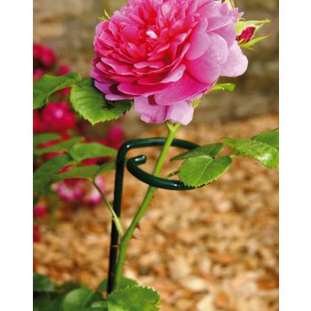 Large Bunch Support (Pack of 4) - Steel - L30.4 x W30.4 x H86.4 cm - Plastic Coated Green