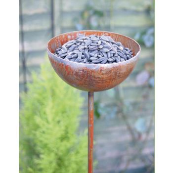 Bowl Plant Pin 5Ft (Bare Metal/Natural Rust) (Pack of 3) - Steel - H154.2 cm