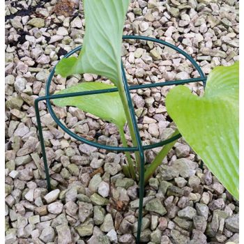 Small Simple Ring (Pack of 4) - Steel - L20.3 x W20.3 x H30.4 cm - Plastic Coated Green