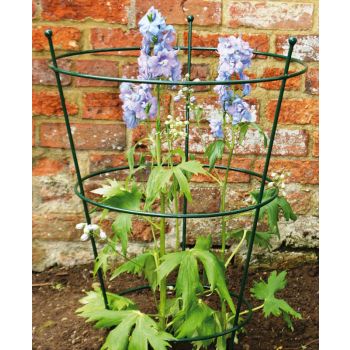 Large Peony Support (Pack of 2) - Steel - L50.8 x W50.8 x H78.7 cm - Plastic Coated Green