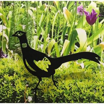 Pheasant - Steel - W41.9 x H33 cm - Powder Coated Black